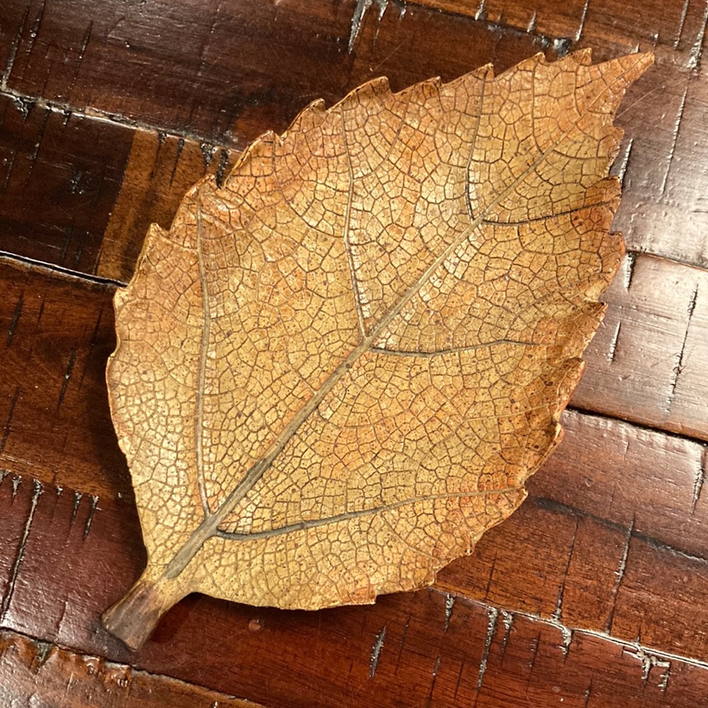 Beautiful natural leaf soap / dish spoon rack.